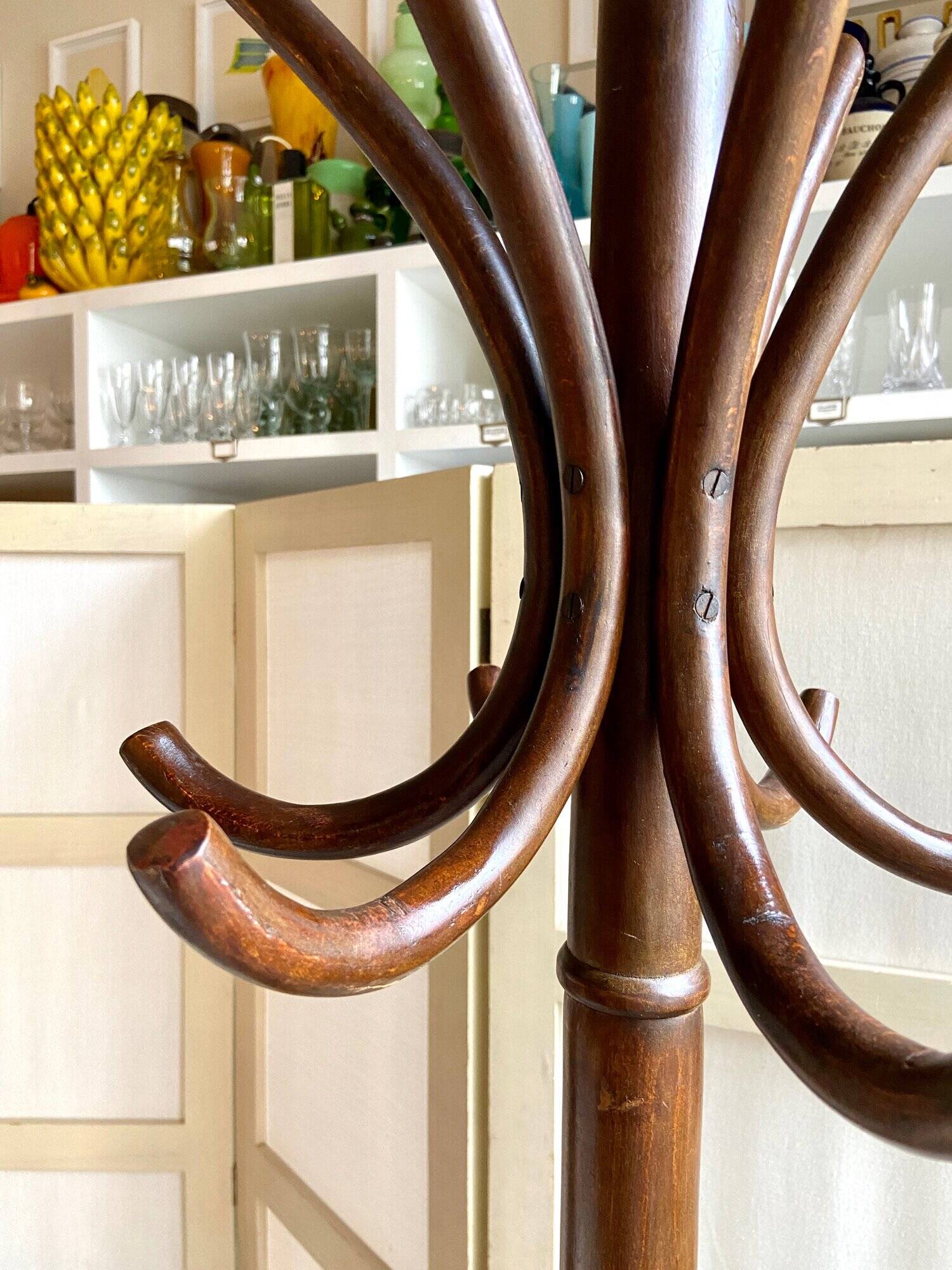 Parrot coat rack with 6 hooks in bent beech