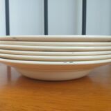 Hollow plates in Sarreguemines porcelain model 5049