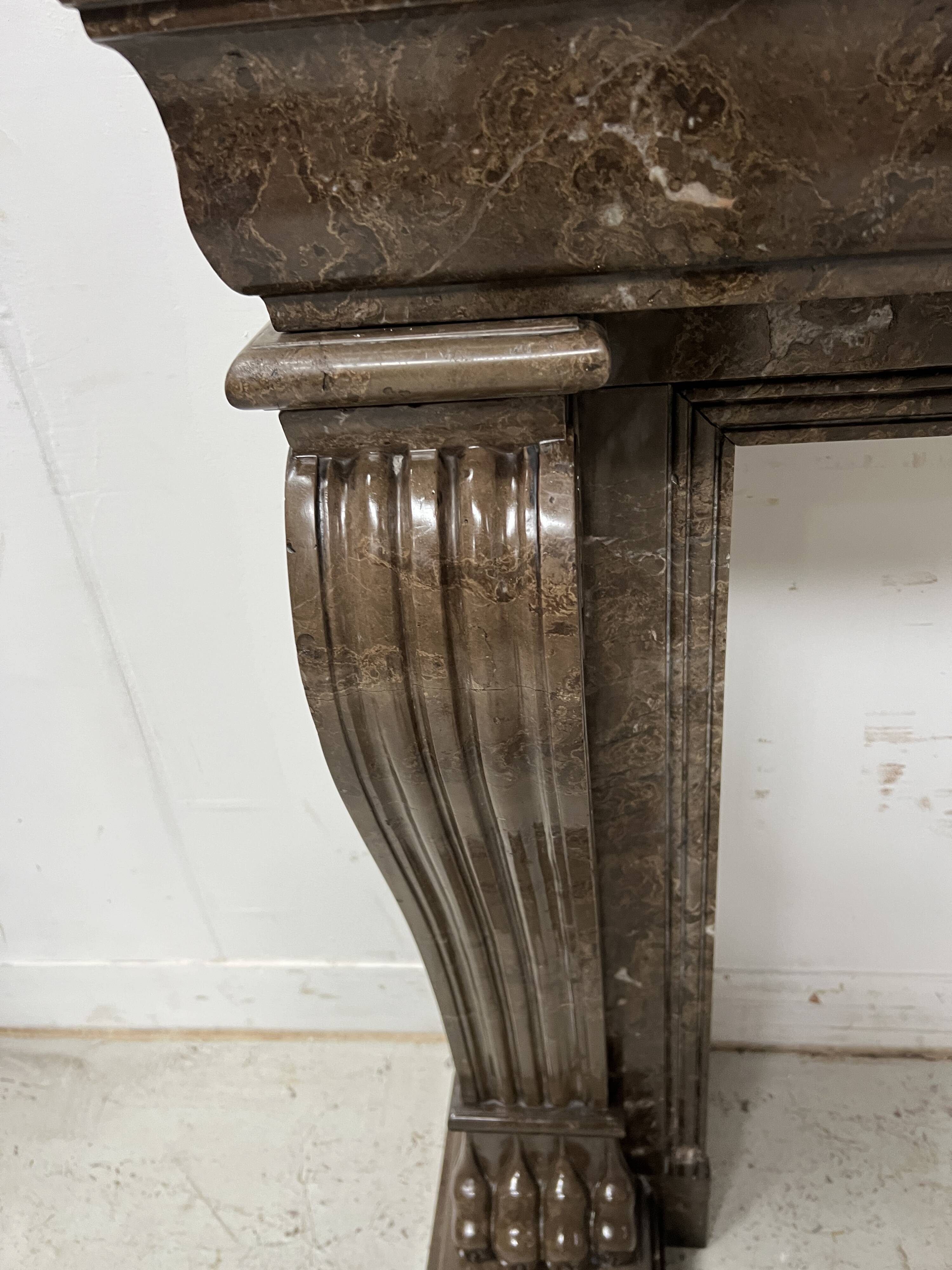 Napoleon III fireplace with claw feet in speckled marble, 19th century.