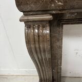 Napoleon III fireplace with claw feet in speckled marble, 19th century.