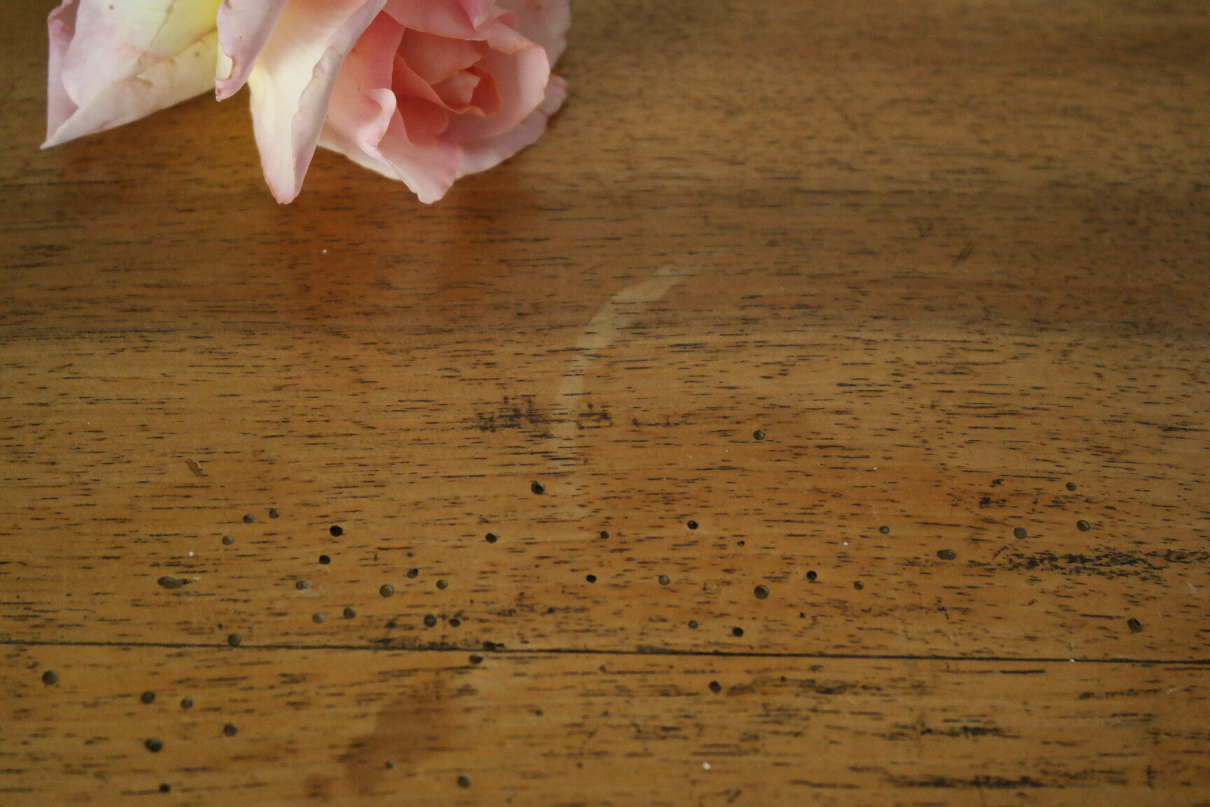 Louis Philippe style chest of drawers in light walnut, 20th century