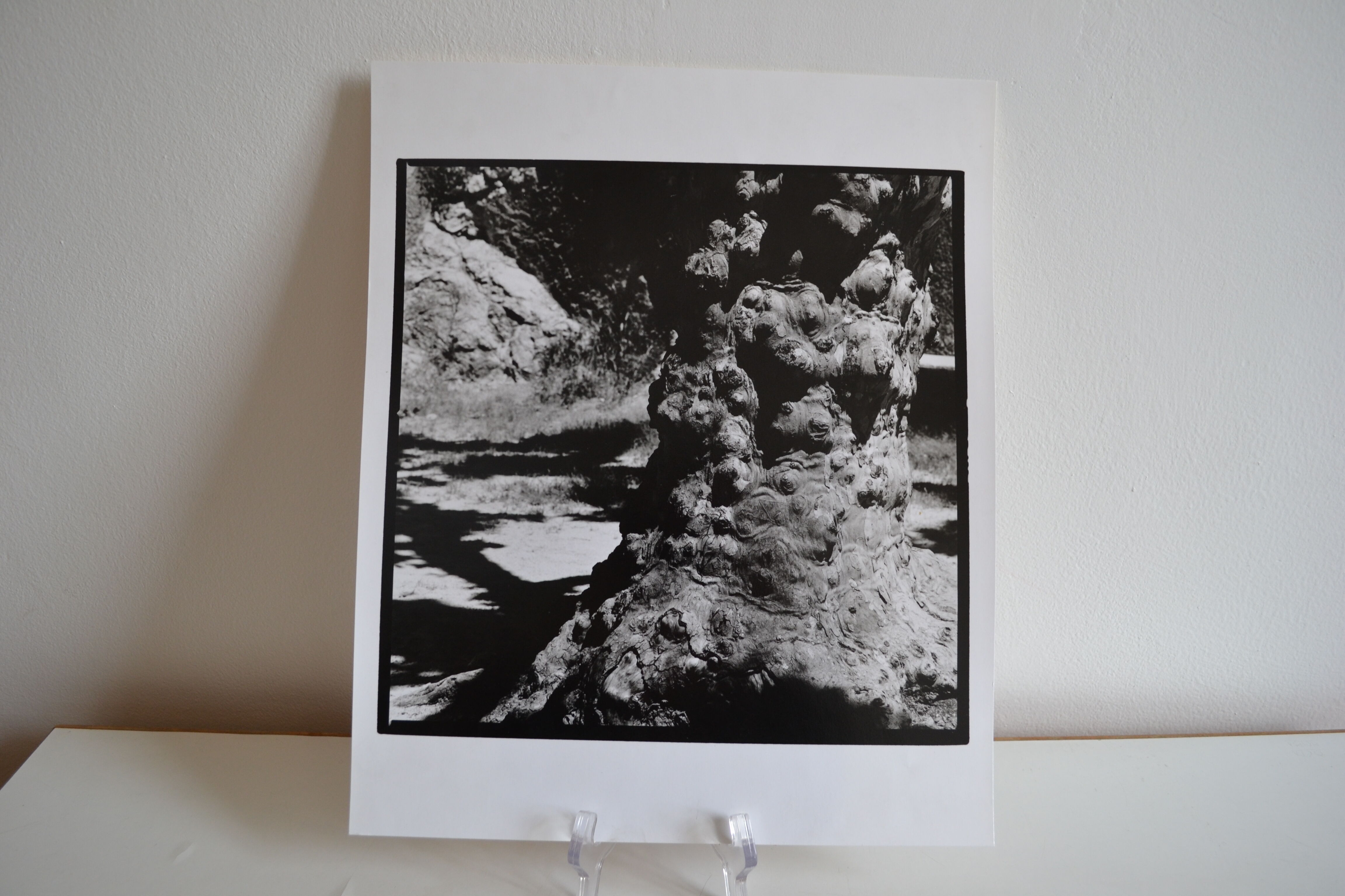 Anonymous silver photo tree circa 1970