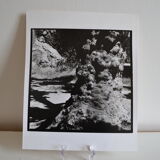 Anonymous silver photo tree circa 1970