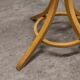 Baumann parrot coatrack 60