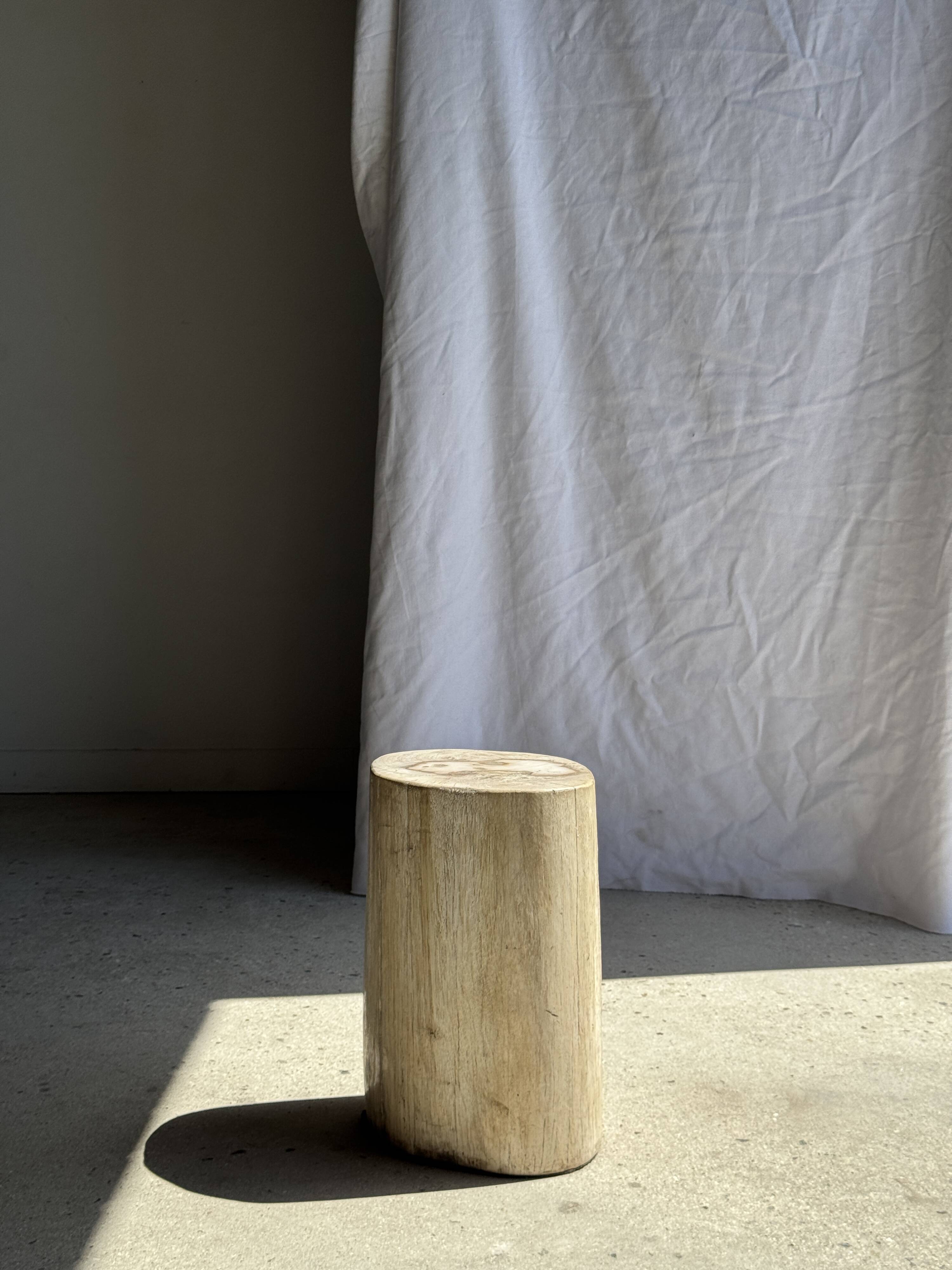 White oval petrified wood side table H38 D28 - 3335