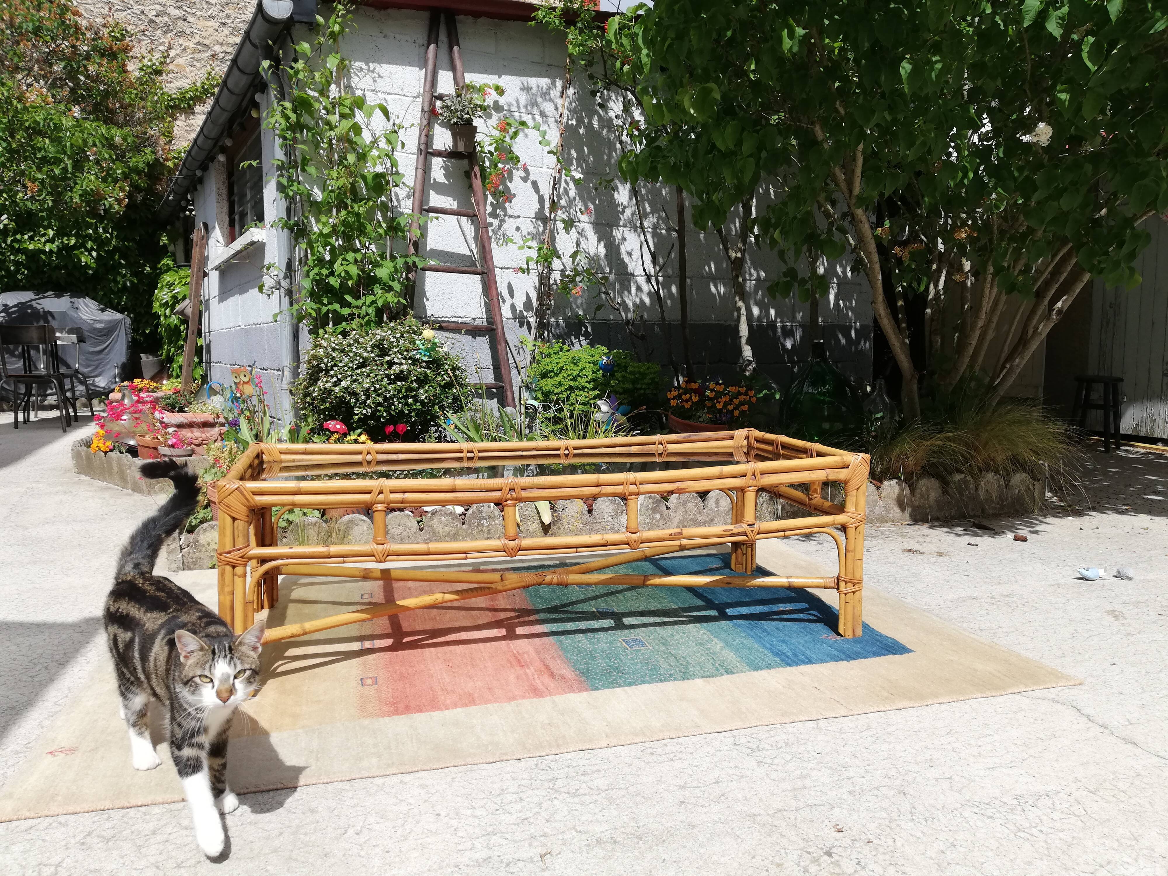 Rattan coffee table and glass