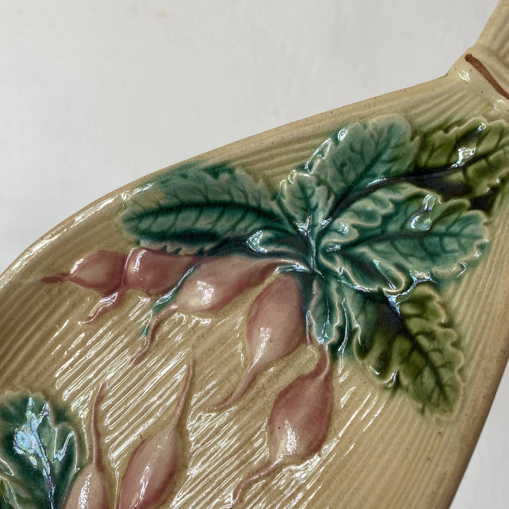 Ravier in slip clay salins, radish