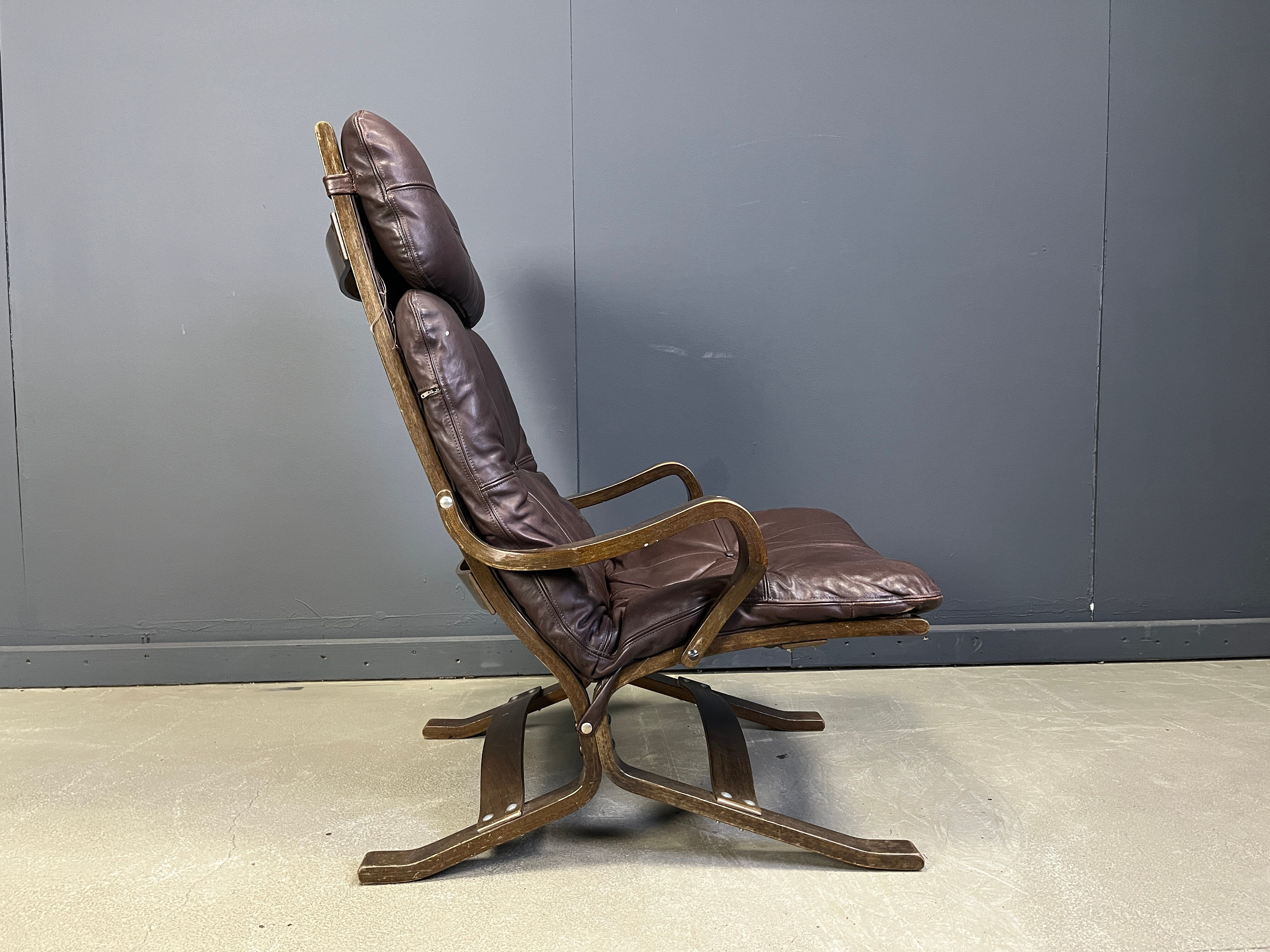 Vintage Scandinavian leather and bentwood armchair, 1970s