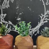 Soliflore en bois massif avec fiole en verre