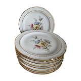 Service of 9 porcelain plates limoges