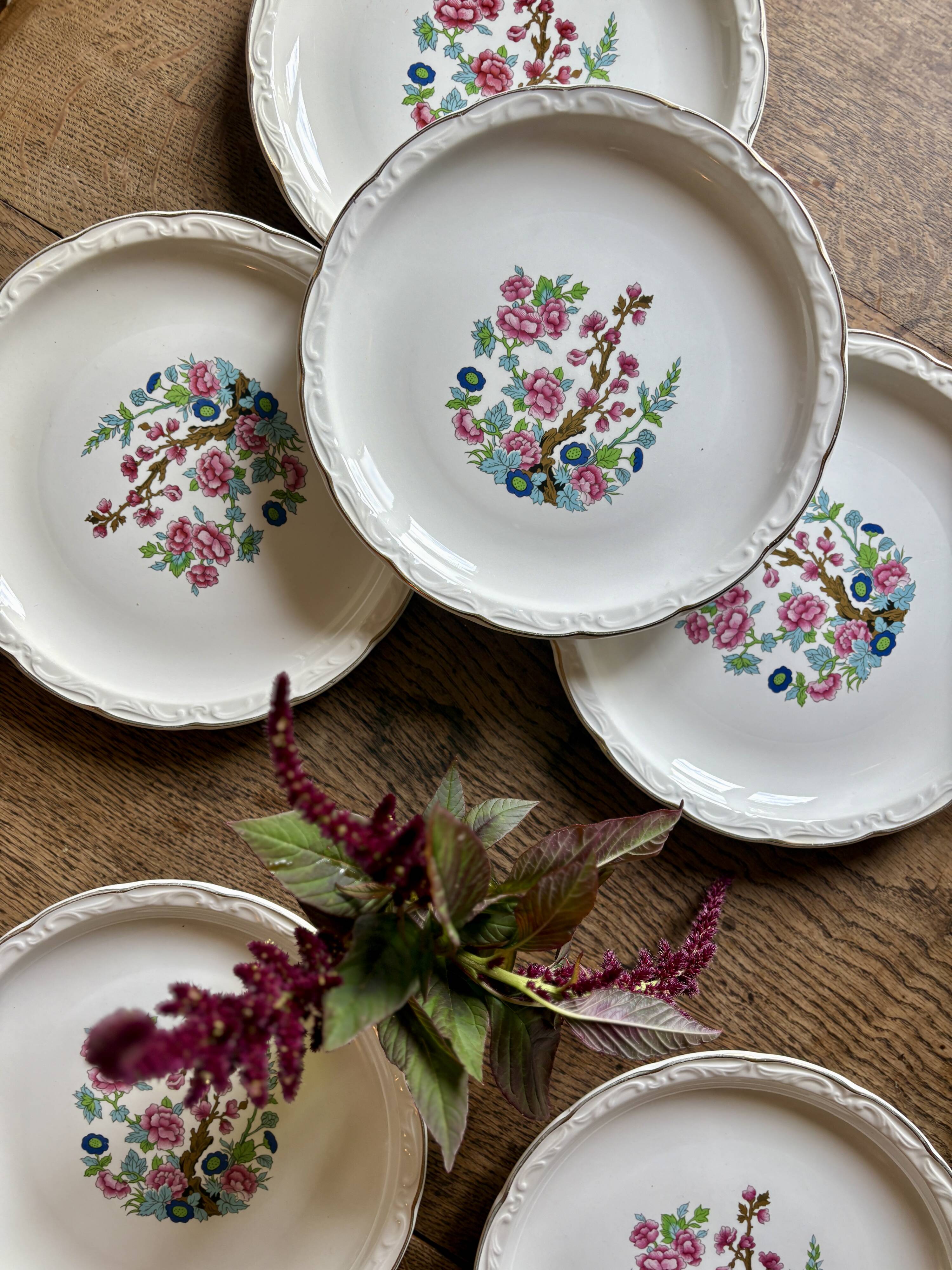 Set of 6 vintage deep plates, "Indian Tree" pattern by Digoin.
