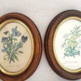 Illustration frames