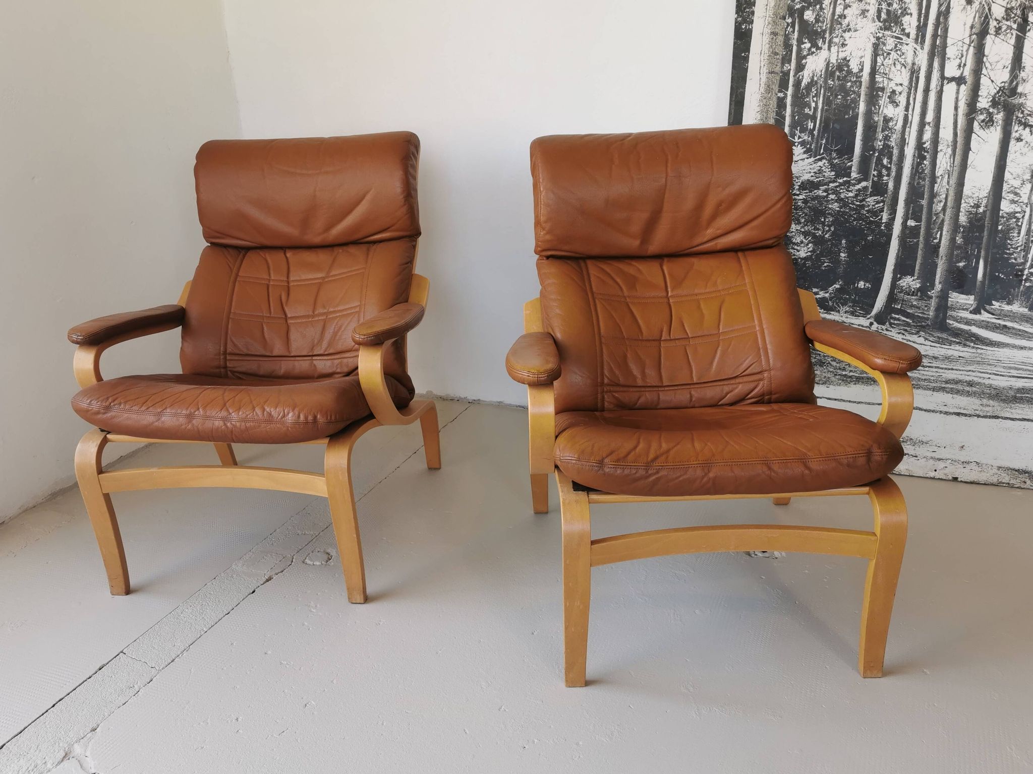 Paire de fauteuils scandinaves vintage