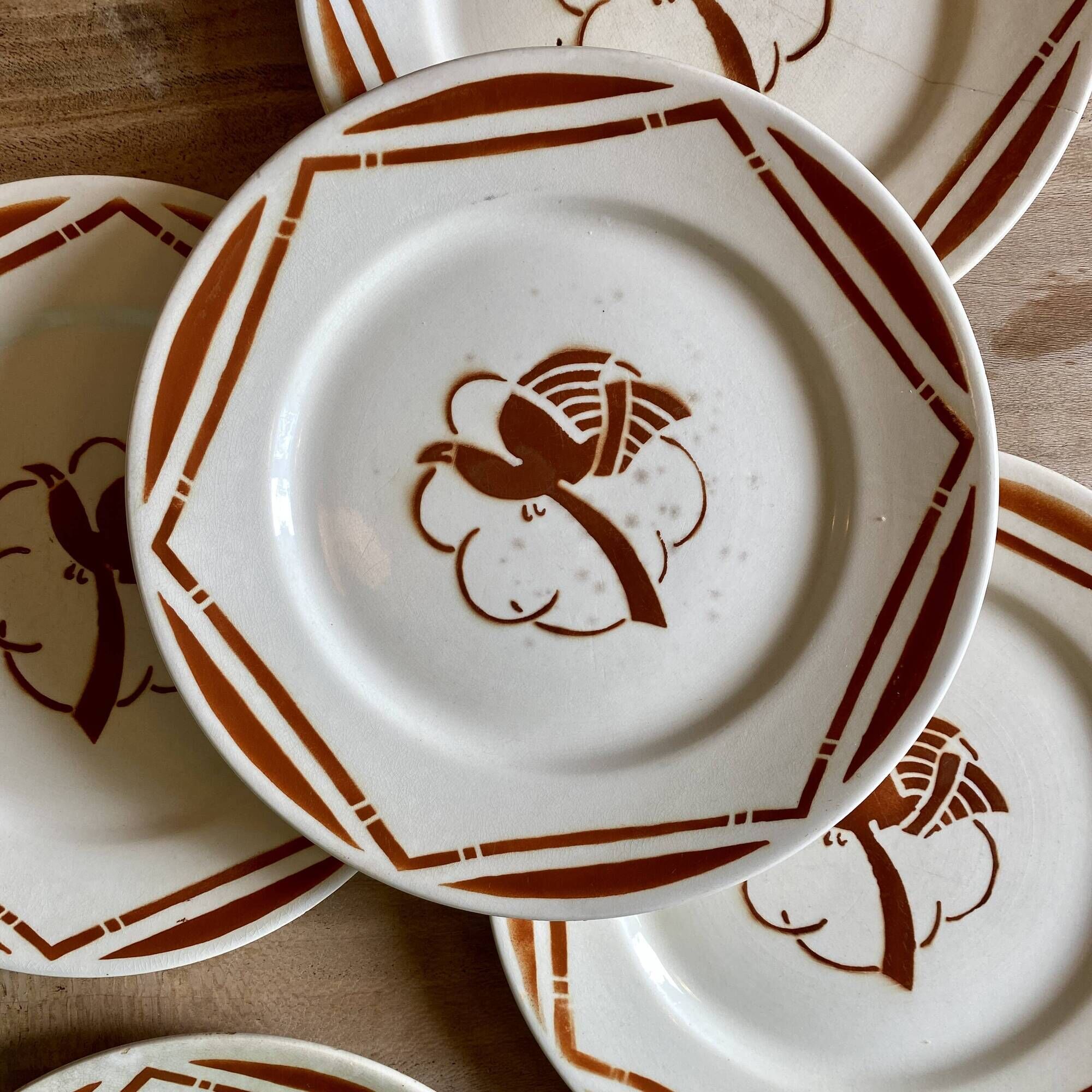 Set of 6 vintage flat plates in iron earth, Paradis de Badonvillier models