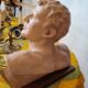 Head of a youth in terracotta