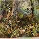 Gravure botanique de 1909 - Forêt et jungle tropicale - Planche ancienne allemande