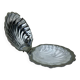 Beurrier coquillage