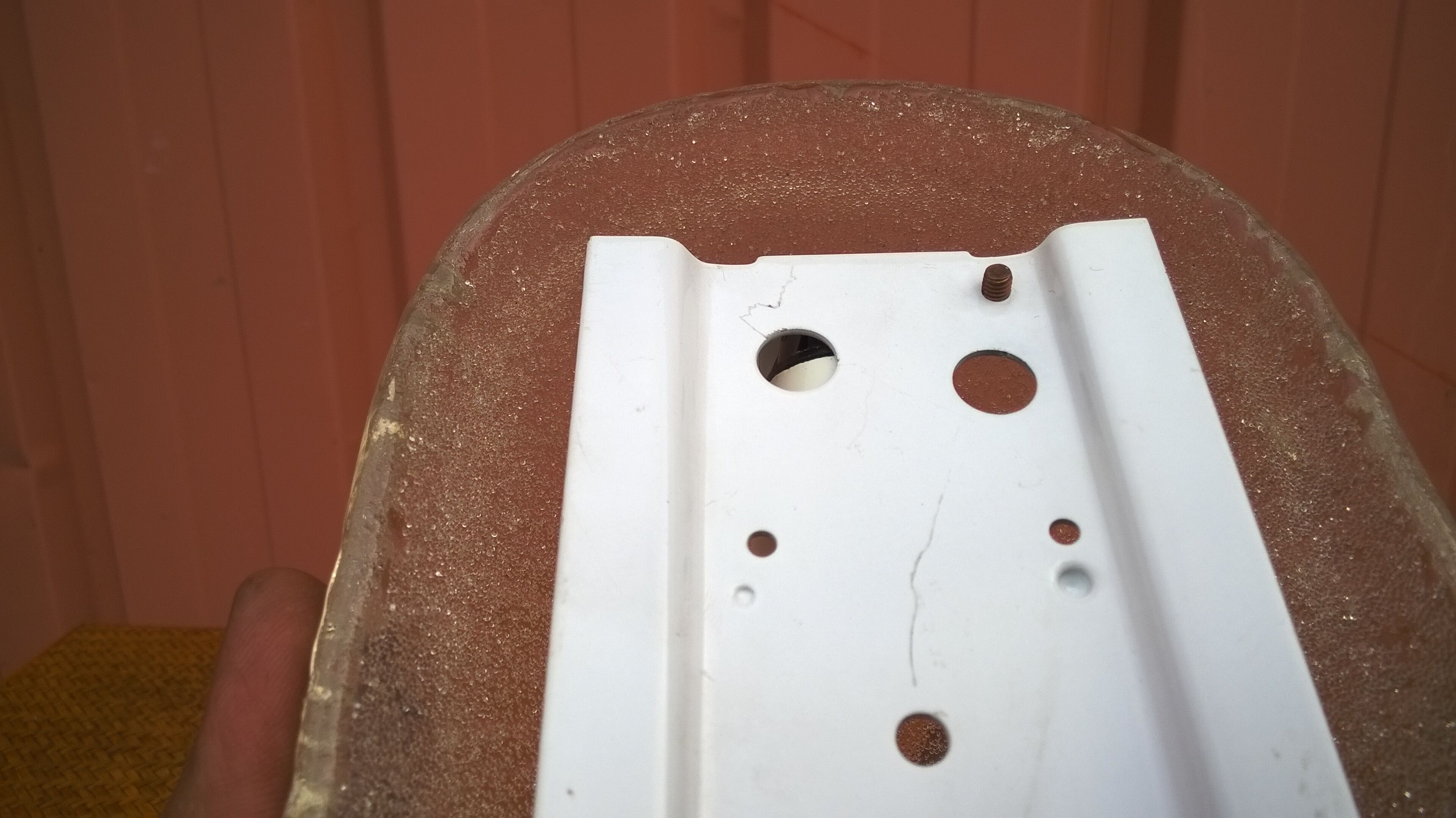 murano glass shell wall light