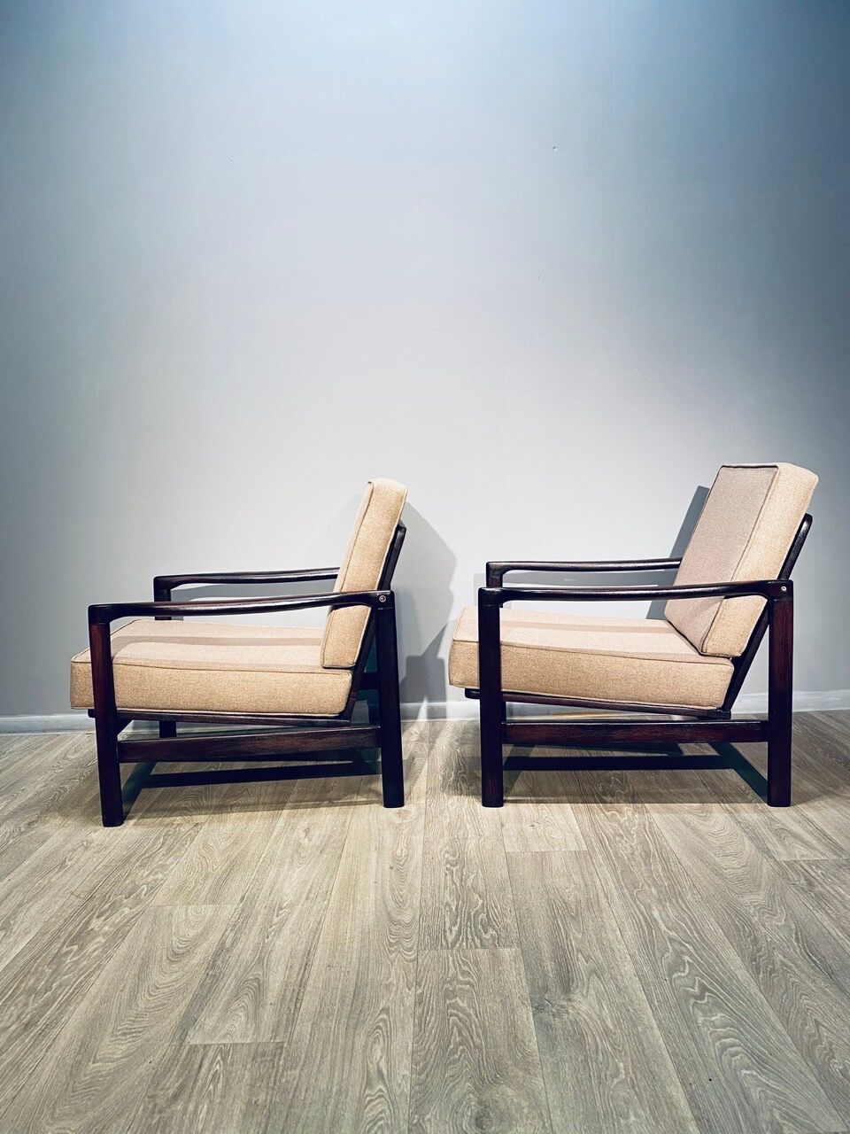 Paire de fauteuils  Z. Bàczyk millésime 60'