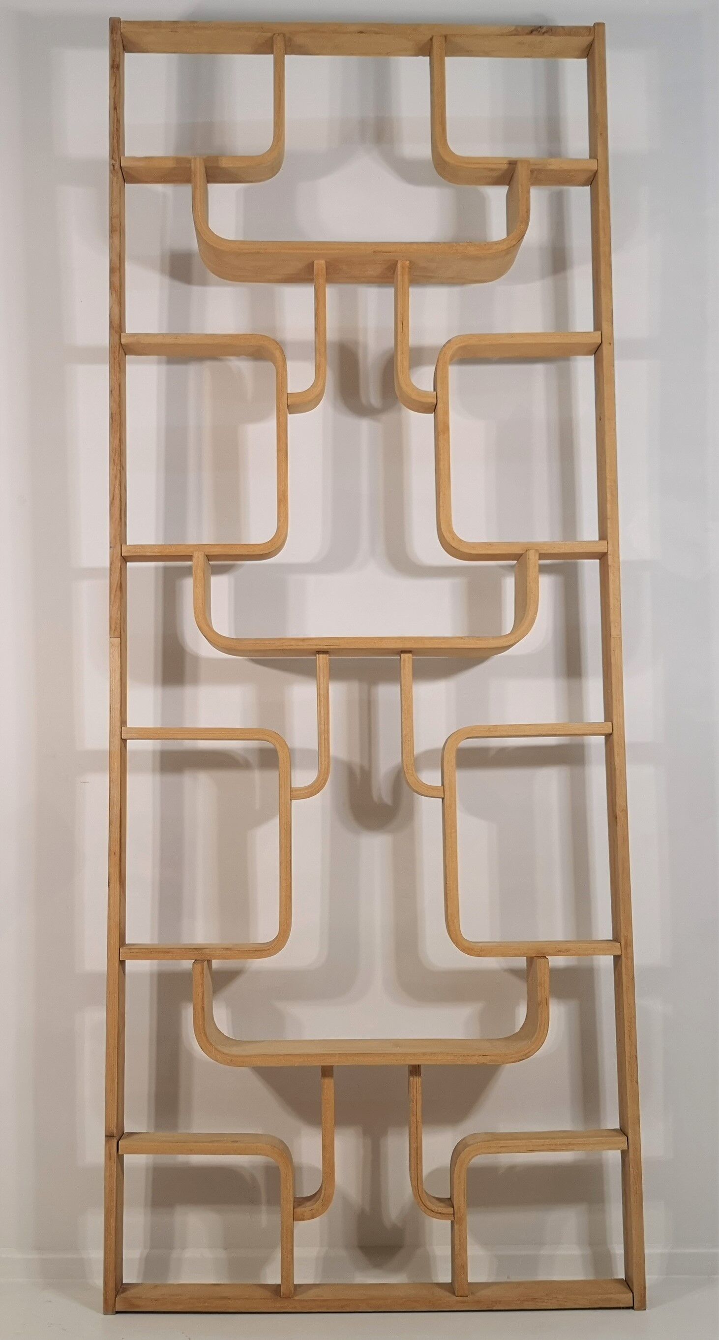 Room Divider designed by Ludvik Volak by Drevopodnik Holesov, 1960s