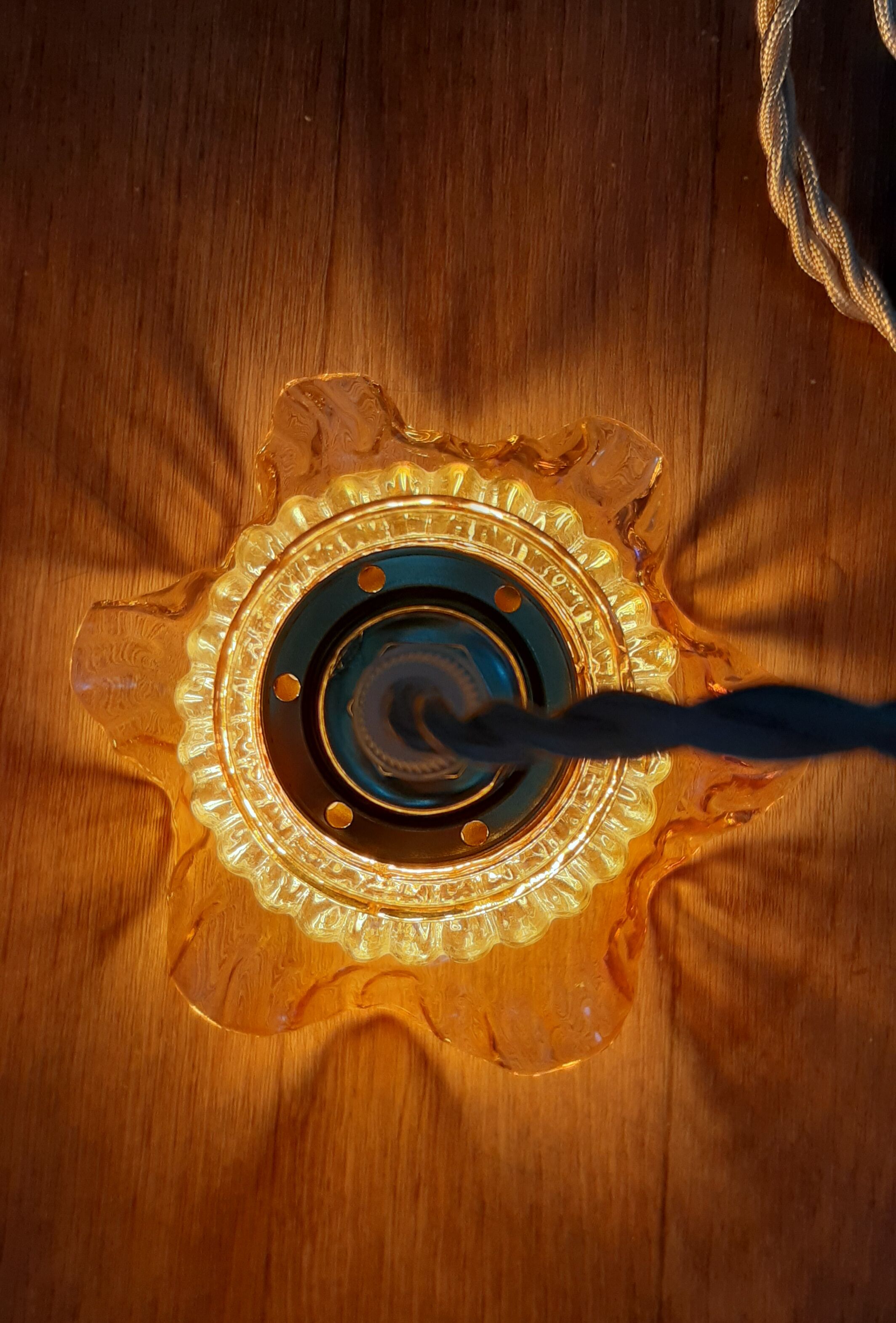 Amber tulip walking suspension