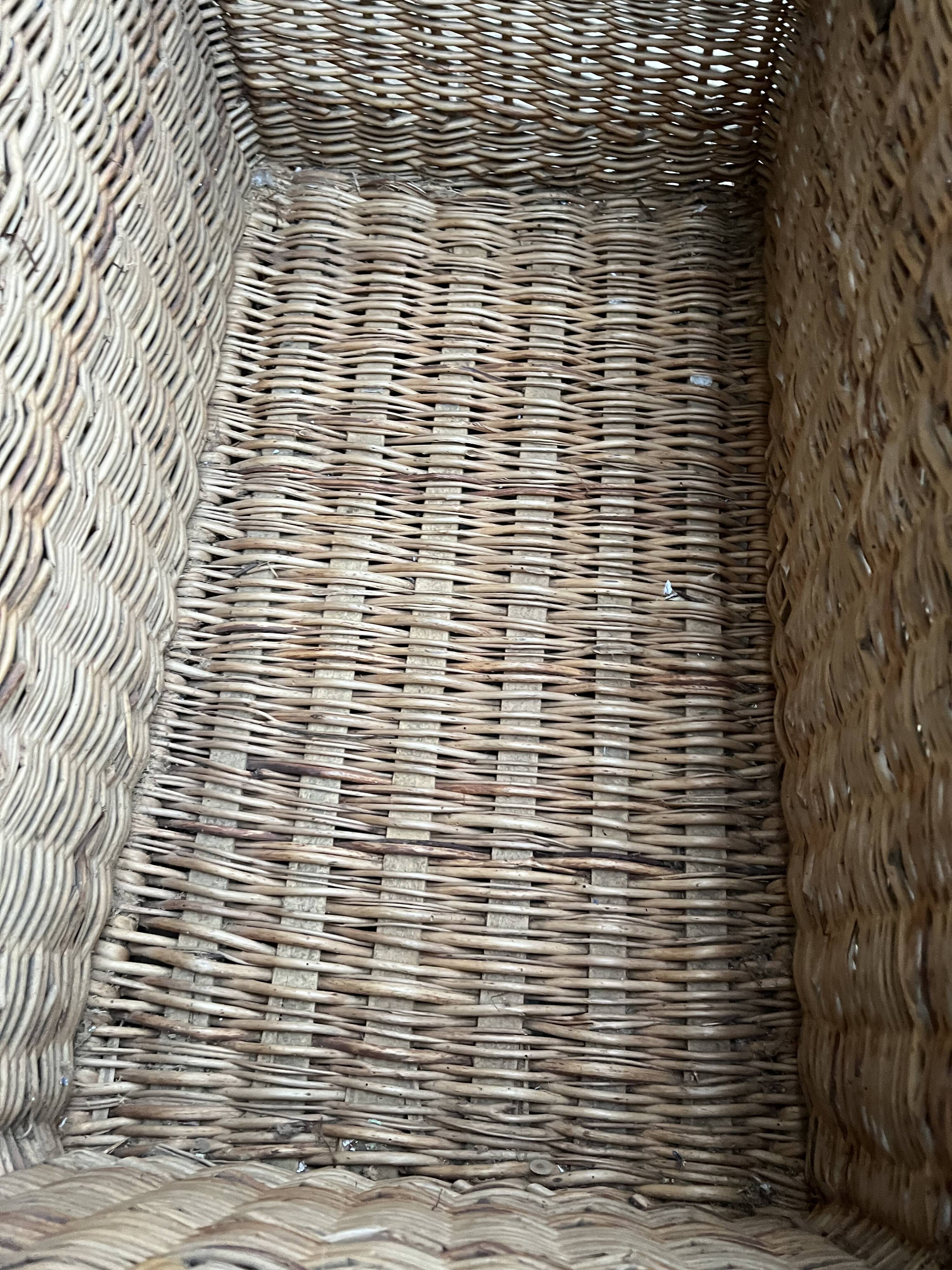Wicker trunk