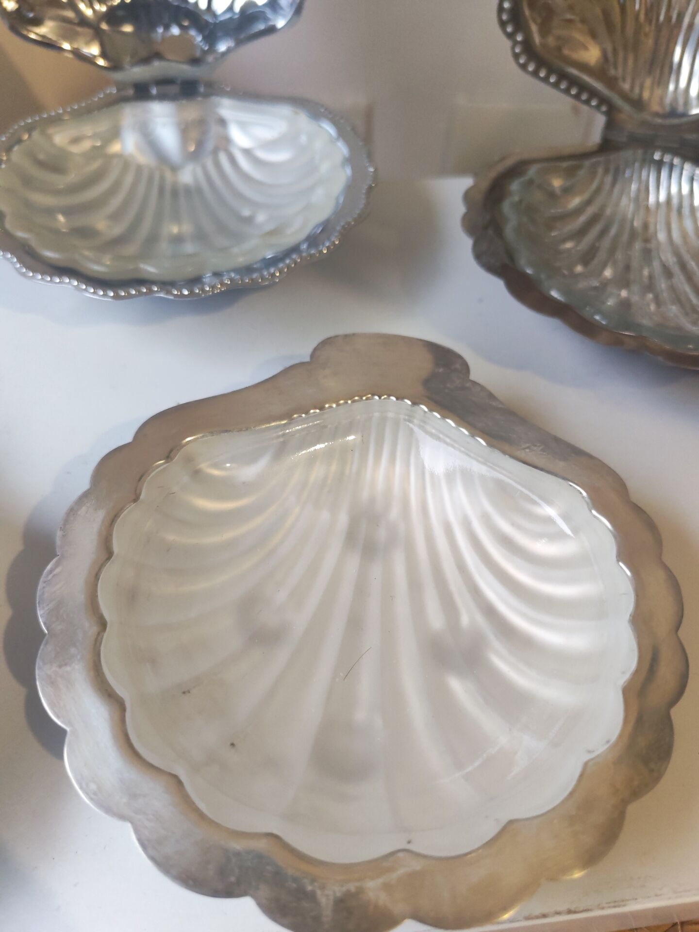 5 scallop butter dishes