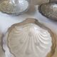 5 scallop butter dishes