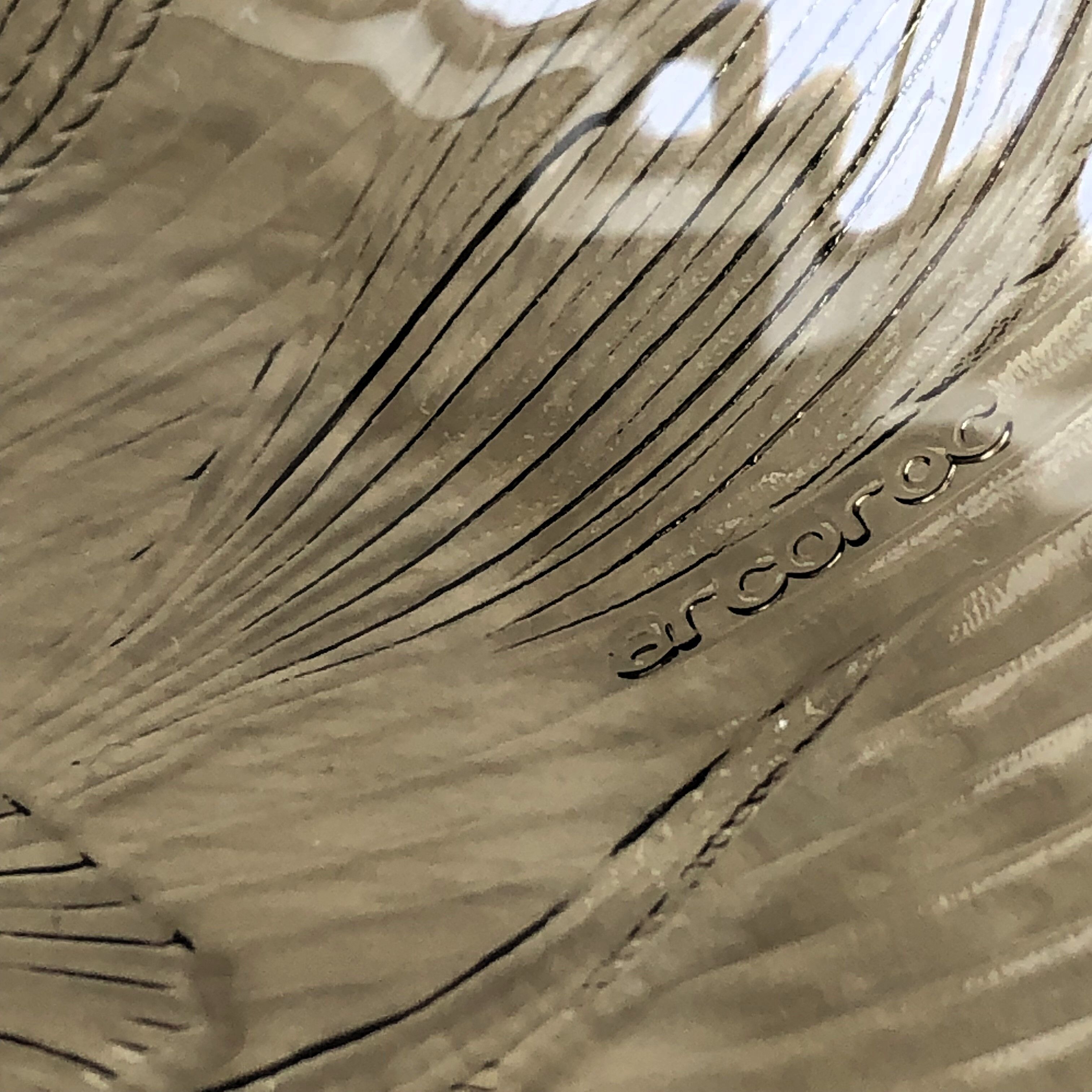 Lot 5 glass plates Arcoroc France smoked pattern flower crocus vintage CANTERBURY