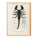 Poster about the scorpion, based on an old engraving from 1849.