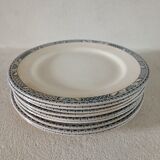 9 plates iron earth Salins