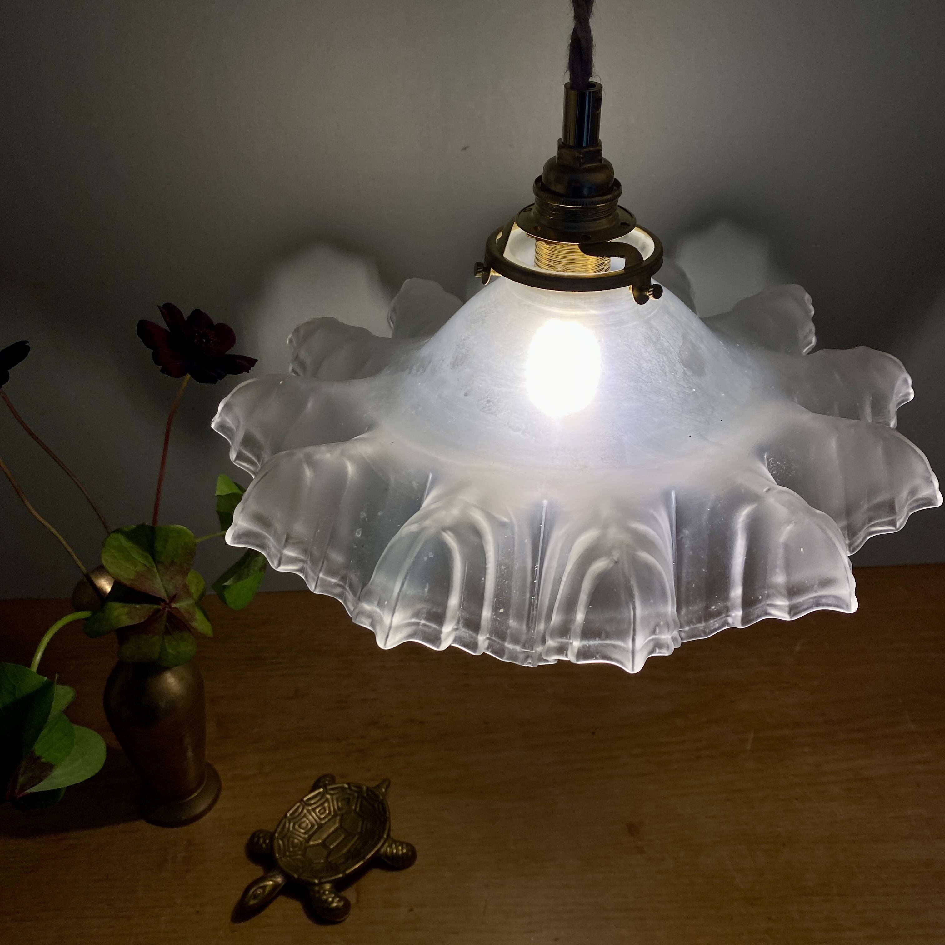 Vintage frosted glass lampshade pendant light