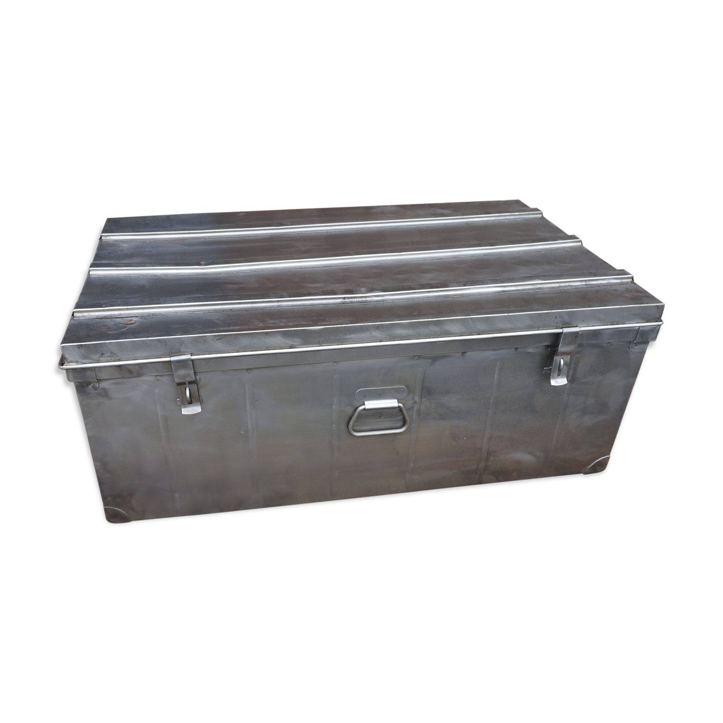 Trunk in metal brush