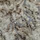 Brown Vintage Runner Rug, 70x295Cm SK 6998