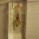 Resin block religious mantha