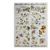 Poster - The Neighbours of the Olive Tree: From Olive to Oil - Provence