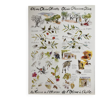 Poster - The Neighbours of the Olive Tree: From Olive to Oil - Provence