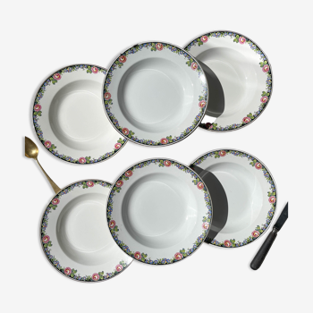 6 Hollow plates in Opaque porcelain DIGOIN floral pattern "3984"