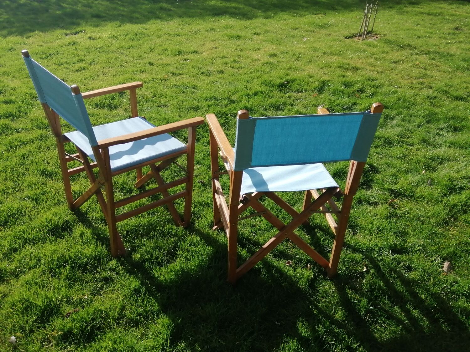 Director's chairs