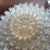 1960 Limburg Crystal Ceiling Light 4 Levels