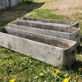 Three cement planter 1950
