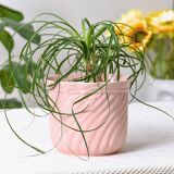 Large vintage pot holder in pink ceramic relief rope