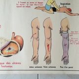 Poster school  excretion & hygiene first aid