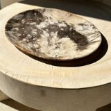 Very large empty pocket or petrified wooden flat