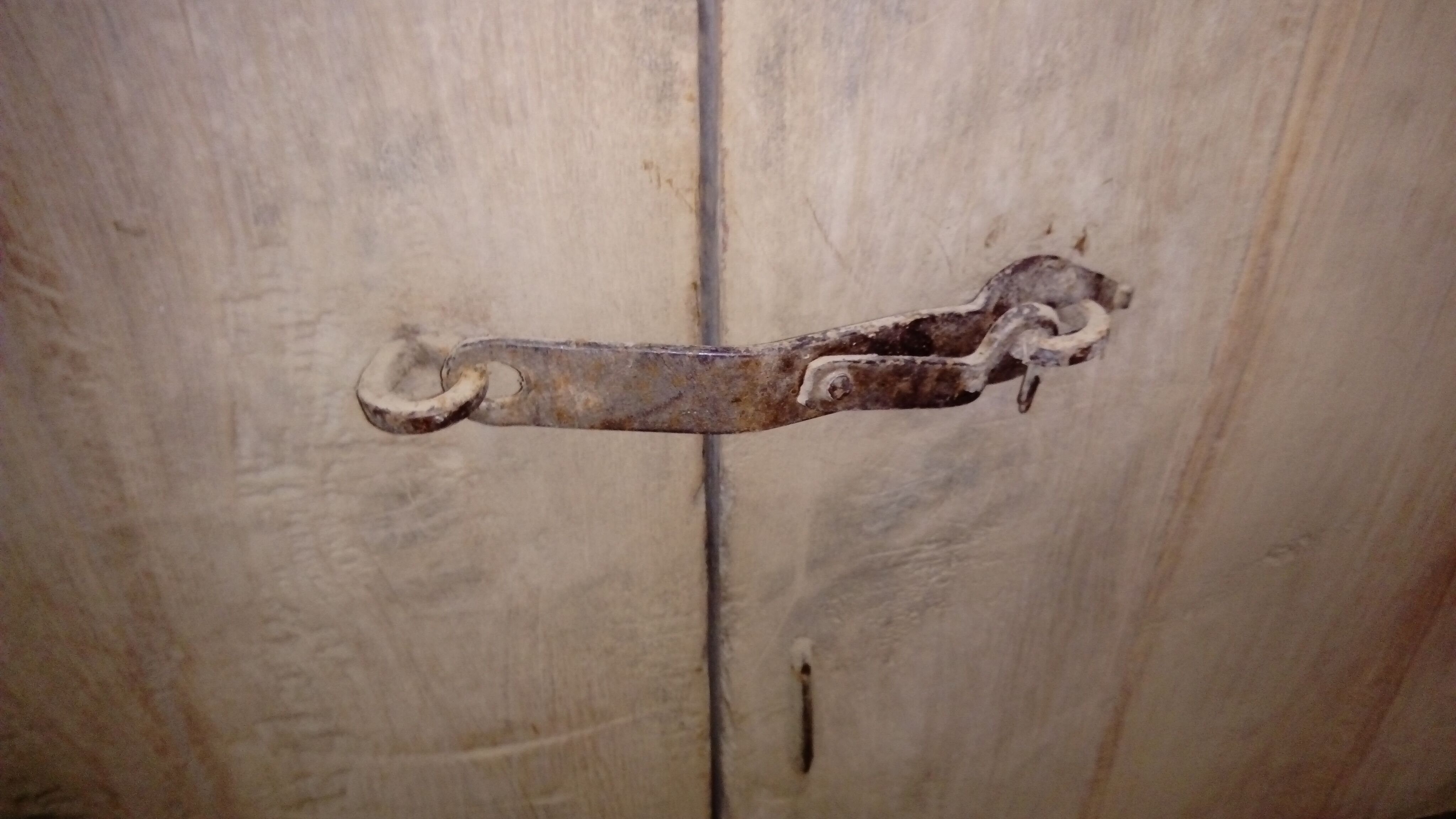 Old teak door