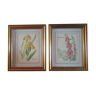 2 cadres vintage reprodution peinture d'edith holden, iris jaune et digitale rose 18cm sur 14,5cm