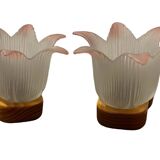 Paire d’appliques en pin fleur en verre