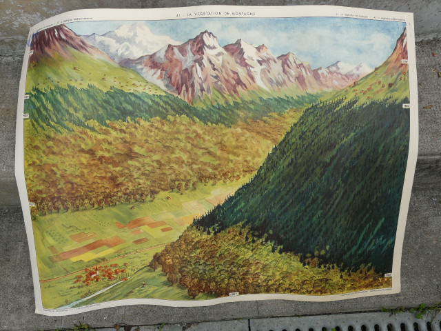 School poster editions nightingale N° 41 and 42 mountain and Mediterranean vegetation