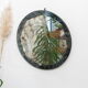 Round Venetian mirror