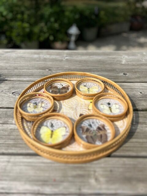 Bamboo tray and 6 coasters